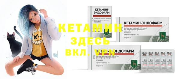 индика Володарск