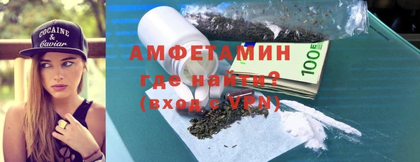 индика Володарск