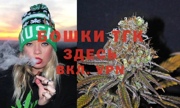 индика Володарск