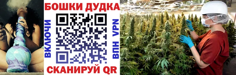 Шишки марихуана сатива Новочебоксарск